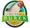 Ferma drobiu - Burek